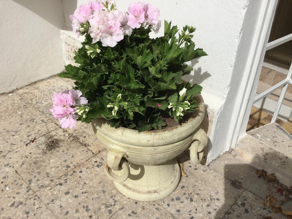 Case Vacanze Le Rose Vila Noto Exterior foto